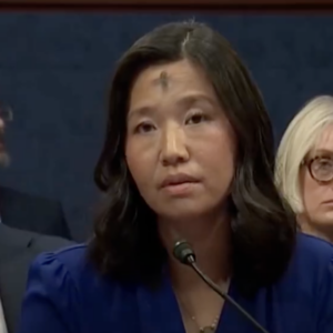 Boston Mayor Wu Compares Illegal Aliens to Red Sox Players in Contentious Testimony
